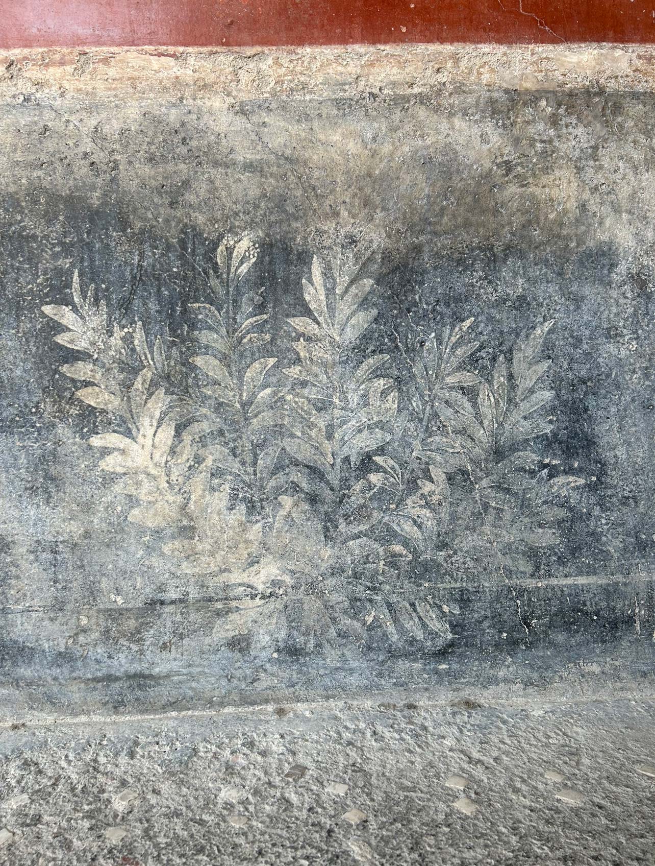 Fresco of a branch of leaves, Casa dei Vettii, Pompeii